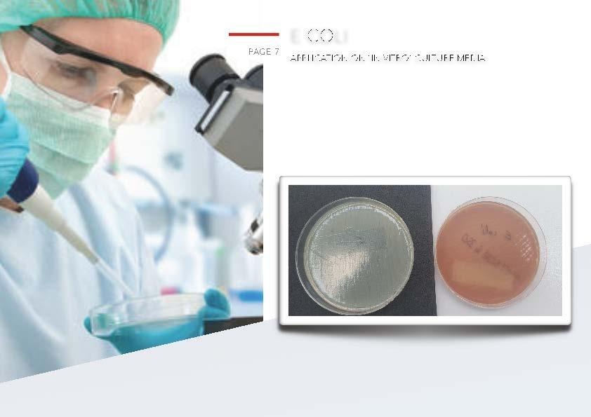 Bendis Antimicrobial Materials Presentation: Bio-barrier textile technology, industrial laundry durability, and HAI reduction trials.