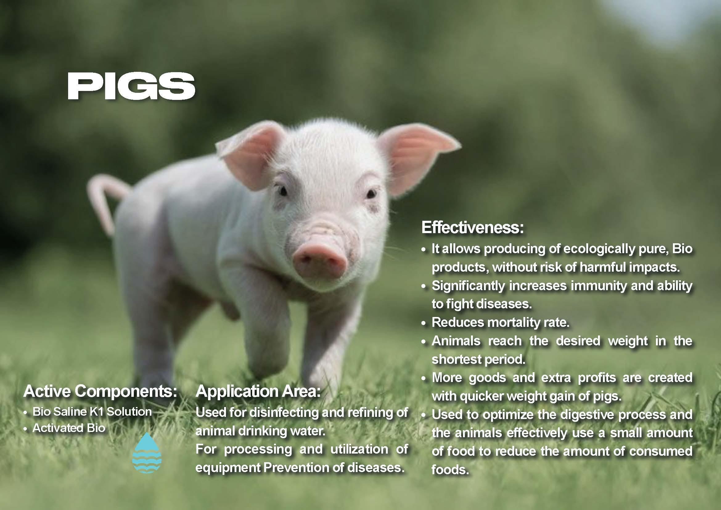 Veterinary Bio-Safety Depot: Eco-friendly disinfectant packaging.